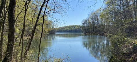 Triadelphia Reservoir Trail, Maryland - 427 Reviews, Map | AllTrails