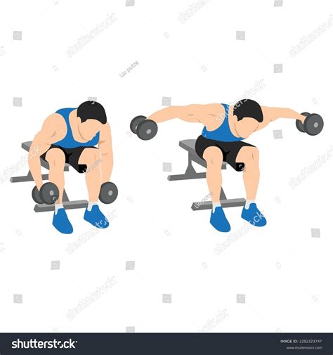 Seated Bent Over Lateral Raise