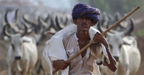 New cattle trade rules: Centre should consult experts on how ...