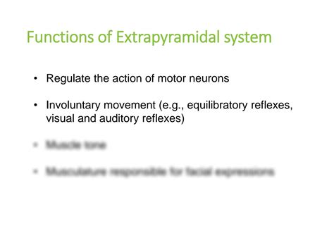 Image result for Extrapyramidal System