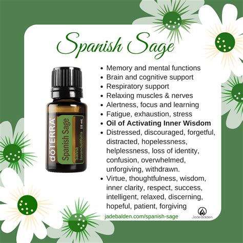 Spanish Sage | Jade Balden