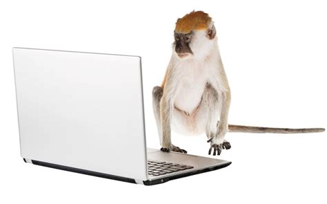 Image result for Monkey Using Computer