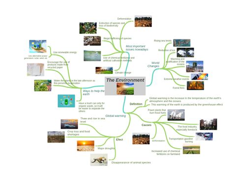 Explain Environment Digramatically 的图像结果