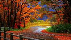 Fall Nature Computer Backgrounds by Computer Wallpaper Nature Fall Hd Background Wallpaper 16 Fall Nature Computer Backgrounds