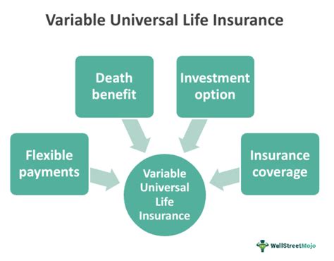 Variable Life Insurance Explained 的图像结果