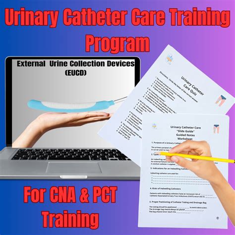 Teaching Urinary Catheter Care to CNAs and PCTs the Right Way: A Step ...