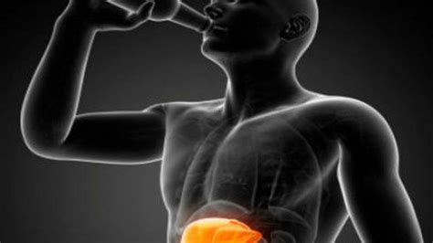 Alcohol allows bacteria to infiltrate into liver | The Times of India