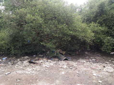 Mumbai Slum Demolition Likely to Put 280 Families out on the Streets ...