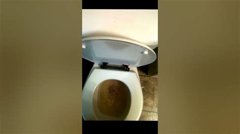 Image result for Modeling Paste Craft Ideas