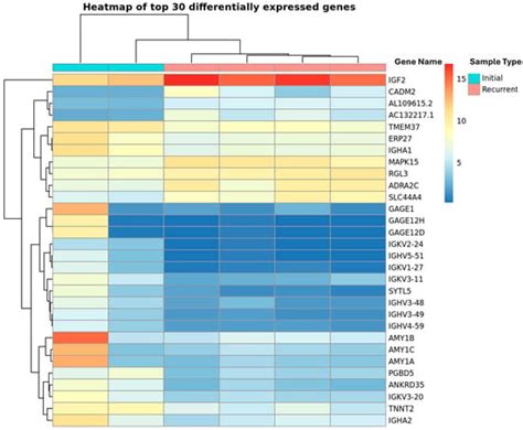 Increased IGF2 and Immunosuppressive Cell Populations in Ascites of ...