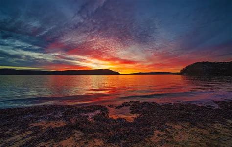 Wallpaper forest, the sky, clouds, sunset, shore, dal, twilight, bright ...