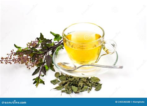 Tulsi or Holy Basil Tea for Healthy. Stock Photo - Image of care ...