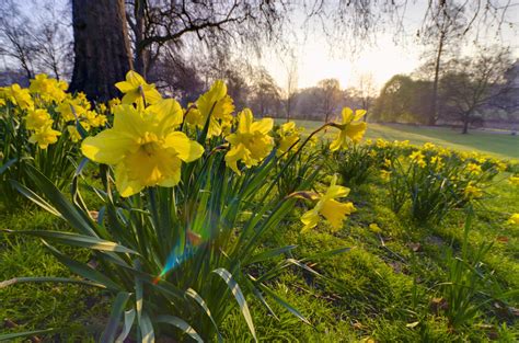 When Does Spring Start 的图像结果