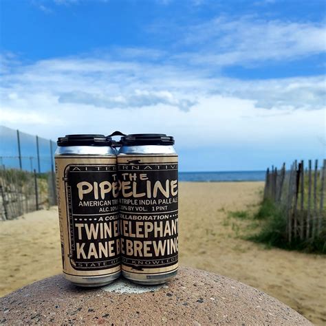 THE PIPELINE | American TIPA | 10% – Twin Elephant Brewing Company