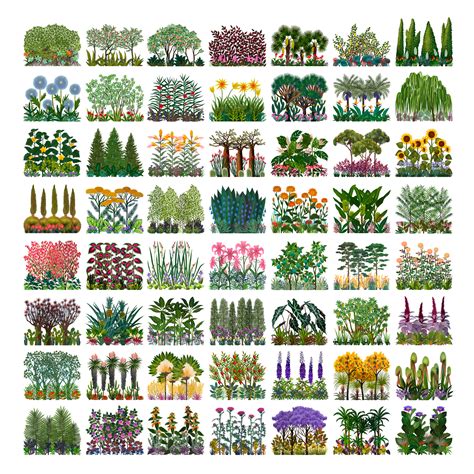 Image result for Visual Encoding Memory