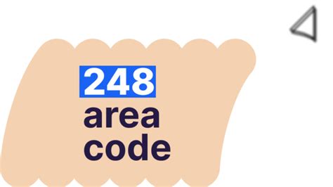 Image result for 248 Area Code Map