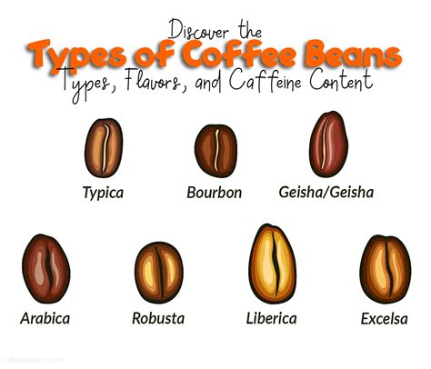 Types of Coffee Beans: Types, Flavors, and Caffeine Content