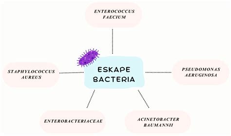 Caught in the ESKAPE: Wildlife as Key Players in the Ecology of ...
