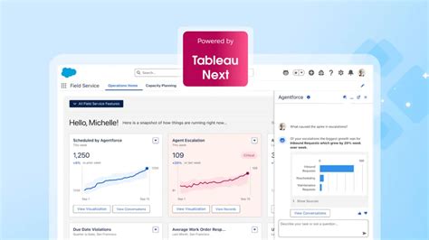 Field Service Management (FSM) Software | Salesforce AU
