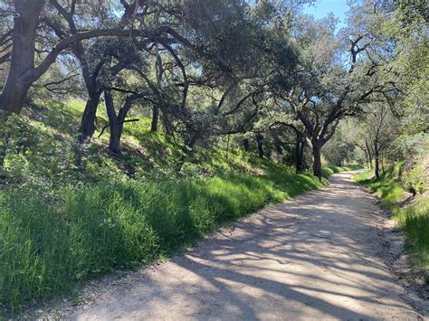 Black Walnut and Powder Canyon Motorway Loop: A Californian Gem Under an Hour - Mystical Trekking