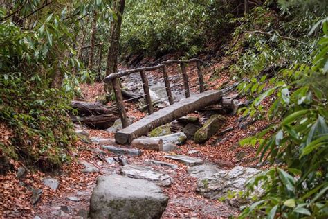 Image result for Homemade Log Bridge