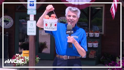 Bush-N-Vine Farm's unique cantaloupes no one else has | wcnc.com