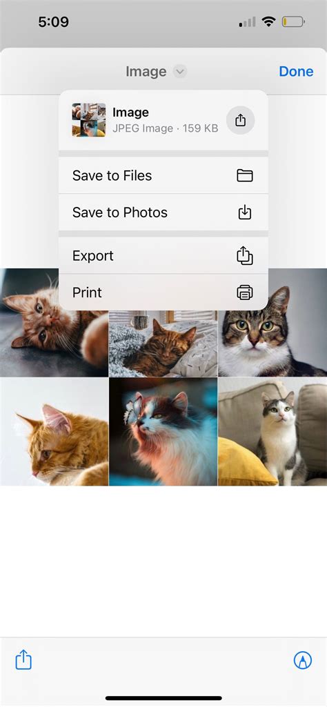 How Do You Make A Collage On Iphone Photos at Sandra Miles blog