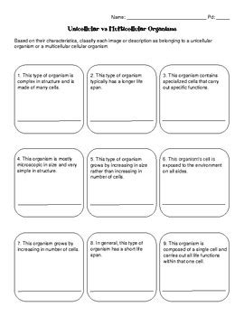 Multicellular And Unicellular Organisms Worksheets Teaching Resources | TPT