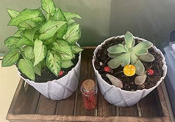 Craft Expertise Mango Wood Serving Tray, Brown, 1 Piece(Rectangular ...