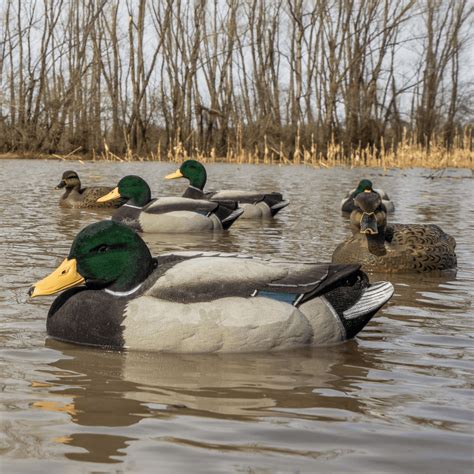 Legal Shot Types for Waterfowl and Migratory Birds – Dive Bomb Industries
