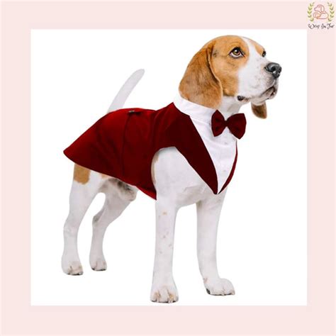 Shop Best Dog Tuxedo | Buy Dog Clothes Online – Wrapinfur
