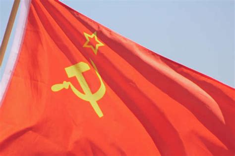 The Harsh truth about what Indians really eat daily