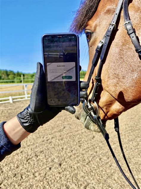 Image result for In-Depth Test No Connection