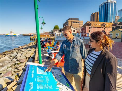 Where to go Whale Watching in Nova Scotia - Tourism Nova Scotia