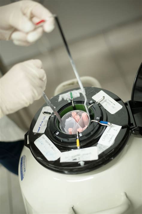 Cryopreservation – Absolute Genetics