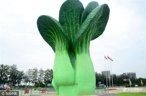 寿光巨型蔬菜雕塑造型逼真引路人拍照 - 海报新闻