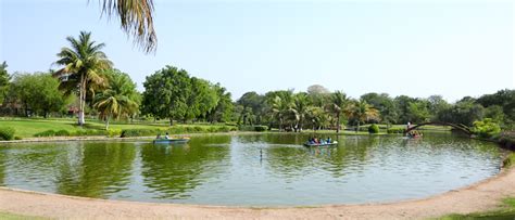 Shanku's :: Entertainment, Health, Education