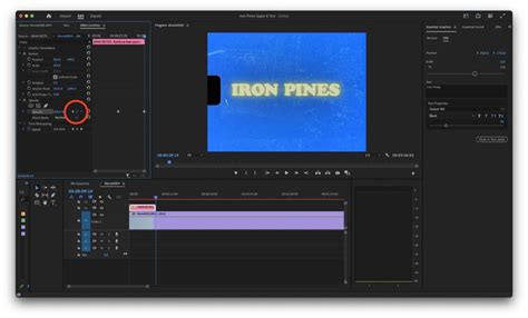 Premiere Pro Keyframes 的图像结果