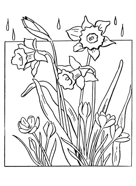 Spring Flowers Coloring Pages - Free Printable PDF & Online Coloring