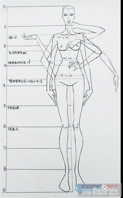 服装设计的人体图-百度经验