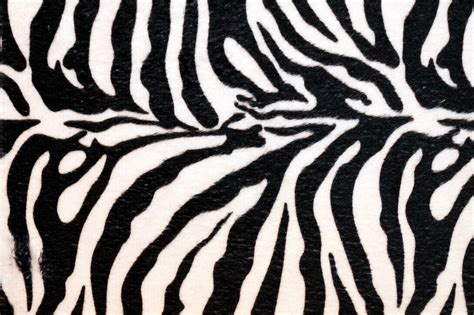 Image result for Zebra Print