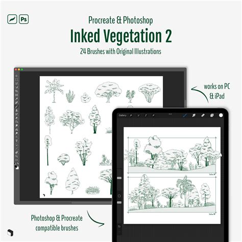 Procreate & Photoshop Inked Vegetation Brushset & Illustrations 2 ...