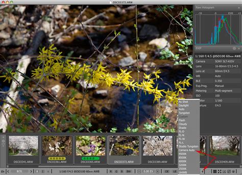 Image result for Fast Raw Viewer Tutorials