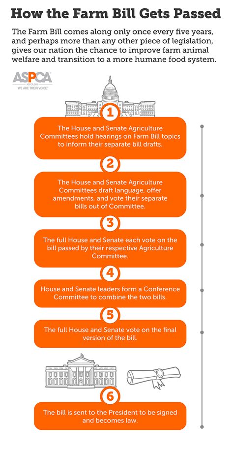 Farm Bill 2023 Is Here: Our Chance to Make Real, Meaningful Change | ASPCA