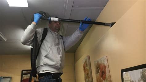 ‘Moderate to heavy’ mold detected at elementary school in Prince George