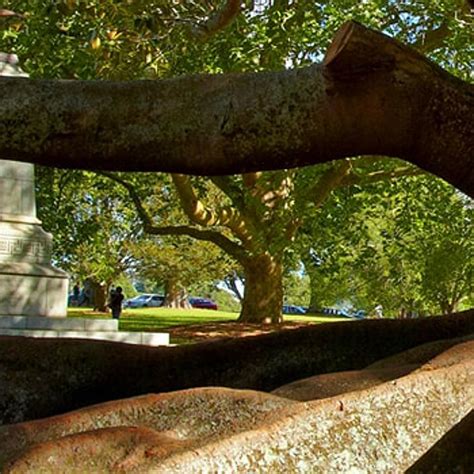 Image result for Deloitte University Programs