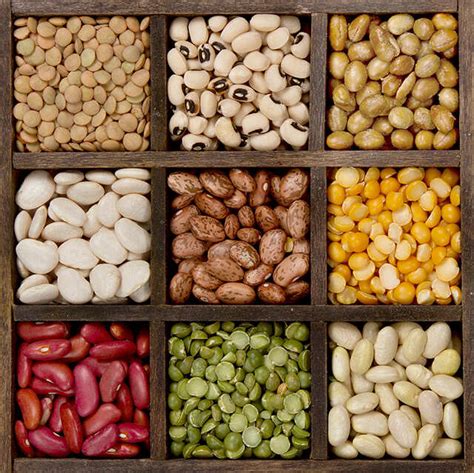 5 Foods that Increase your Good Cholesterol | Femina.in