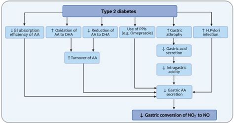 Lost-in-Translation of Metabolic Effects of Inorganic Nitrate in Type 2 ...