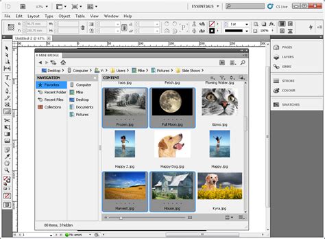 Image result for How to Use InDesign CS5