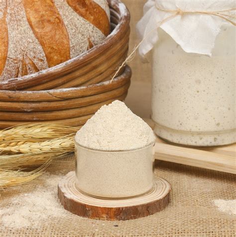 Sourdough Powders & Bread Ingredients | Le’sourdo® by SwissBake® – le ...